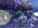 IMG_4453.jpg