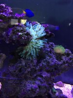 IMG_4455.jpg