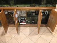 IMG_6652.jpg
