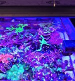 IMG_2281.jpg
