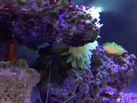 IMG_4456.jpg
