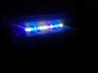 LEDs.jpg