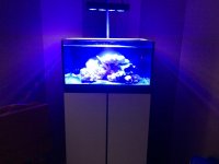 IMG_2356.jpg