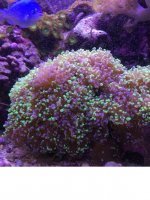 IMG_2722.jpg