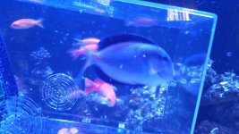 20160611_121548.jpg