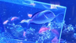 20160611_121552.jpg
