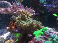 IMG_4107.jpg