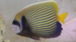 20160405_185121.jpg
