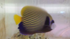 20160405_185045.jpg
