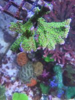 IMG_4225.jpg