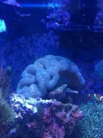 IMG_0365.JPG