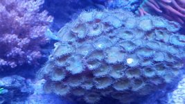20160405_173332.jpg