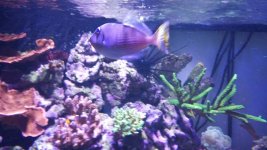 20160209_170452.jpg