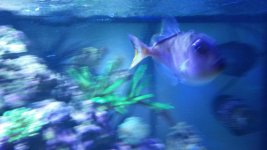 20160209_170455.jpg