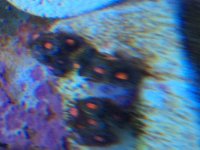 IMG_2383.jpg