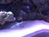 IMG_20160209_231232.jpg