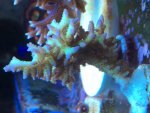 IMG_2384.jpg