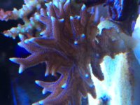 IMG_2385.jpg