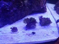 20150901_114743.jpg