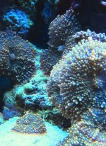 IMG_1915.jpg