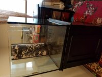 20160905_153041.jpg