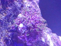 20150901_114759.jpg