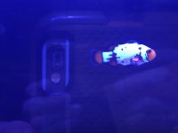 IMG_7528.jpg