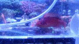 uploadfromtaptalk1435788976297.jpg uploadfromtaptalk1435788976297.jpg