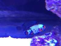 IMG_7538.jpg