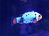 IMG_7541.jpg