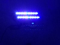 IMG_0483.JPG