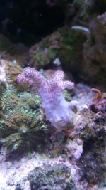 20160614_115951064.jpg