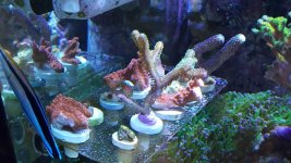 20160913_145708.jpg