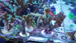 20160913_145656.jpg