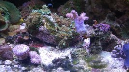 20160614_120459746.jpg