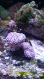 20160614_115944642.jpg