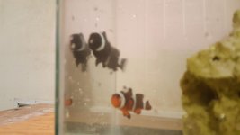 20160913_214239.jpg