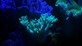 20160603_191235365.jpg
