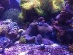IMG_0445.JPG