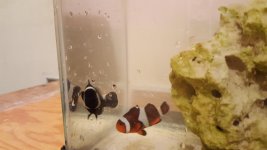 20160913_214123.jpg
