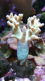 20160613_140101060.jpg