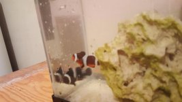 20160913_214154.jpg