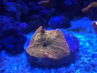 IMG_0105.jpg