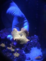 IMG_0102.jpg