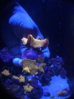 IMG_0103.jpg