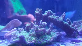 20160208_153153.jpg