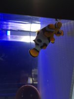 IMG_0823.JPG