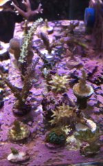 IMG_2844.jpg