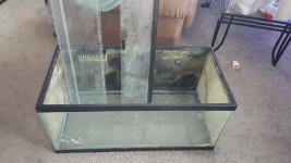 20160616_131704.jpg