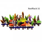 Reef_Rack_32_4.jpg